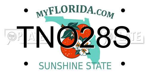 TNO28S Florida License Plate