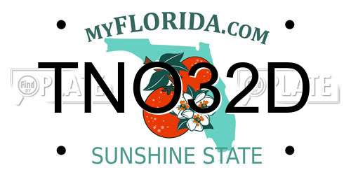 TNO32D Florida License Plate