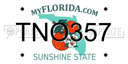 TNO357 Florida License Plate