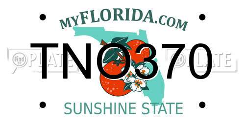 TNO370 Florida License Plate