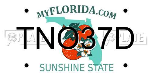 TNO37D Florida License Plate