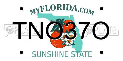 TNO37O Florida License Plate