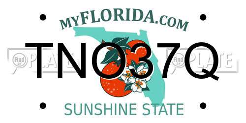 TNO37Q Florida License Plate