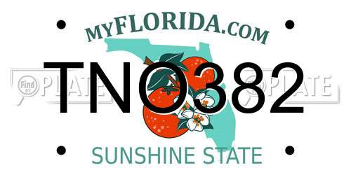 TNO382 Florida License Plate