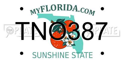 TNO387 Florida License Plate