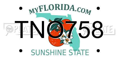 TNO758 Florida License Plate
