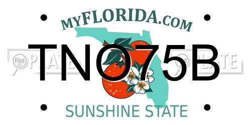 TNO75B Florida License Plate