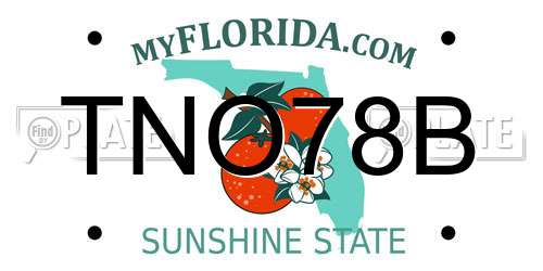 TNO78B Florida License Plate