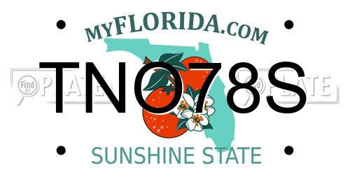 TNO78S Florida License Plate