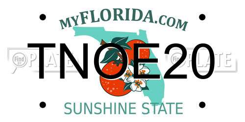 TNOE20 Florida License Plate