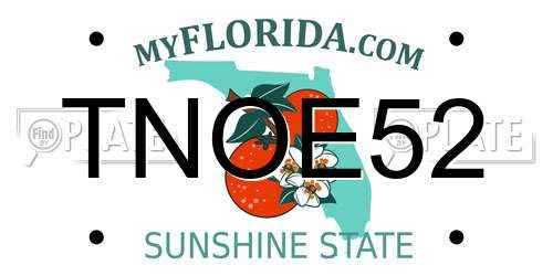 TNOE52 Florida License Plate