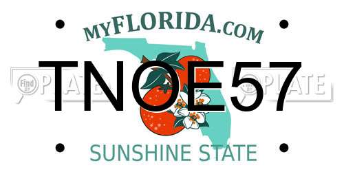 TNOE57 Florida License Plate