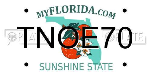 TNOE70 Florida License Plate