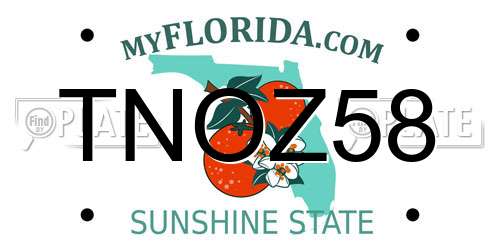 TNOZ58 Florida License Plate