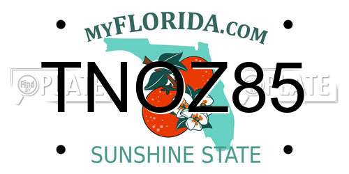 TNOZ85 Florida License Plate