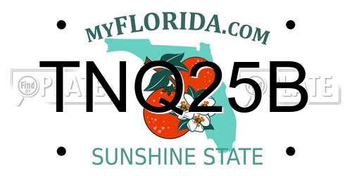 TNQ25B Florida License Plate