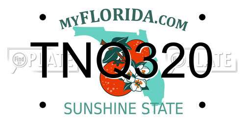 TNQ320 Florida License Plate