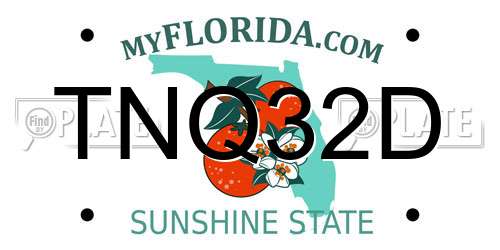 TNQ32D Florida License Plate