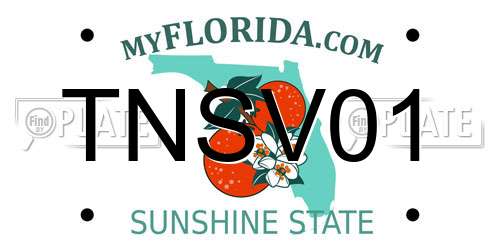 TNSV01 Florida License Plate