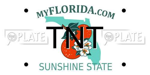 TNT Florida License Plate