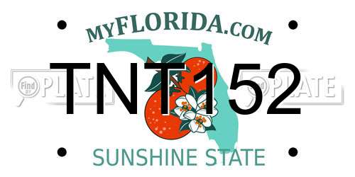 TNT152 Florida License Plate