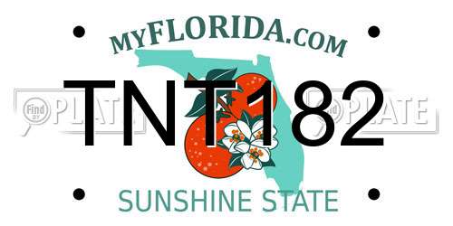 TNT182 Florida License Plate