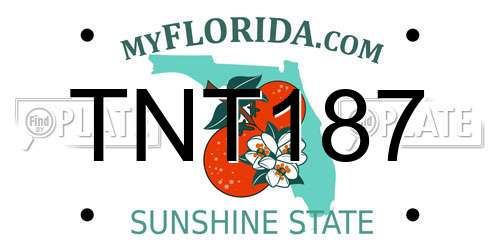 TNT187 Florida License Plate