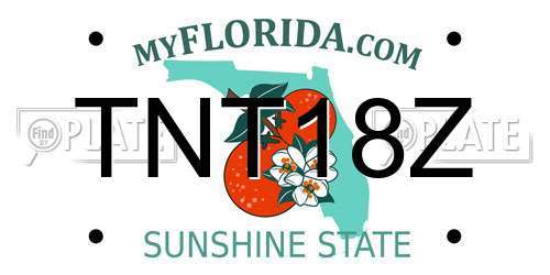 TNT18Z Florida License Plate