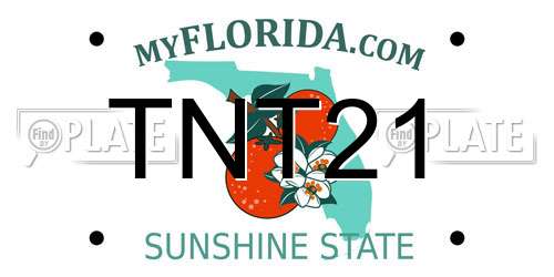 TNT21 Florida License Plate