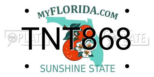 TNT868 Florida License Plate
