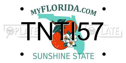 TNTI57 Florida License Plate