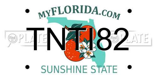 TNTI82 Florida License Plate