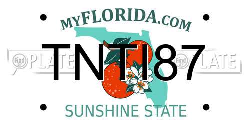 TNTI87 Florida License Plate