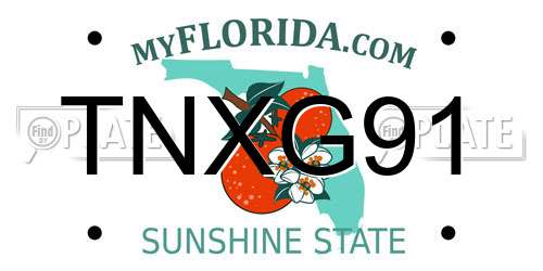 TNXG91 Florida License Plate