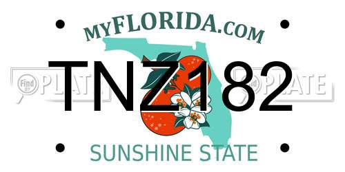 TNZ182 Florida License Plate