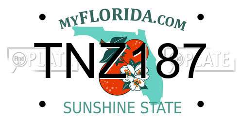 TNZ187 Florida License Plate