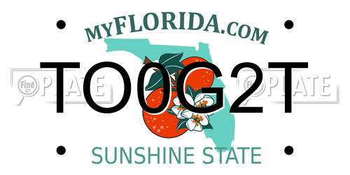 TO0G2T Florida License Plate