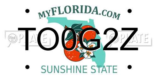 TO0G2Z Florida License Plate