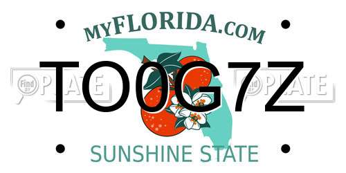 TO0G7Z Florida License Plate