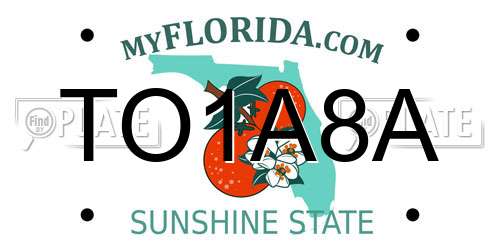 TO1A8A Florida License Plate