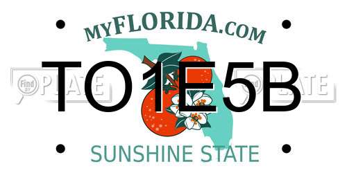 TO1E5B Florida License Plate