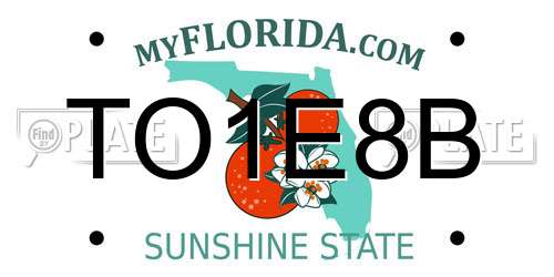 TO1E8B Florida License Plate