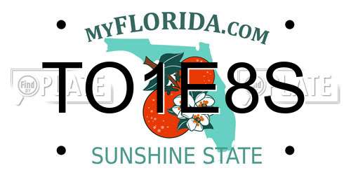 TO1E8S Florida License Plate