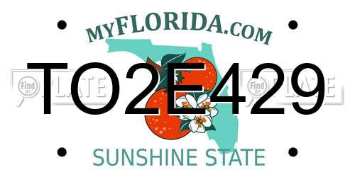TO2E429 Florida License Plate