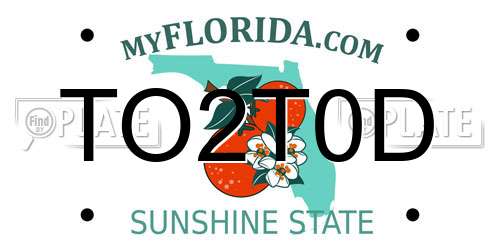 TO2T0D Florida License Plate