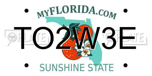 TO2W3E Florida License Plate