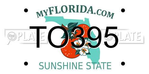 TO395 Florida License Plate