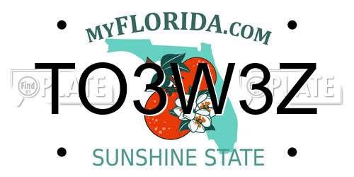 TO3W3Z Florida License Plate
