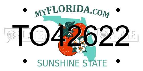 TO42622 Florida License Plate