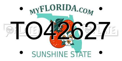 TO42627 Florida License Plate